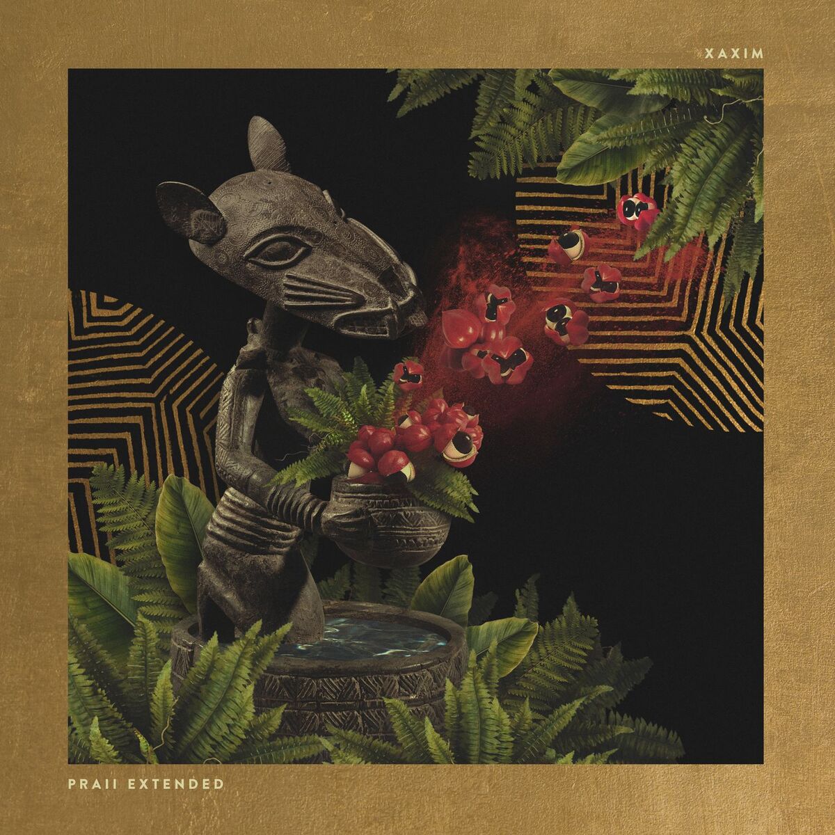 Album cover of Praii Extended