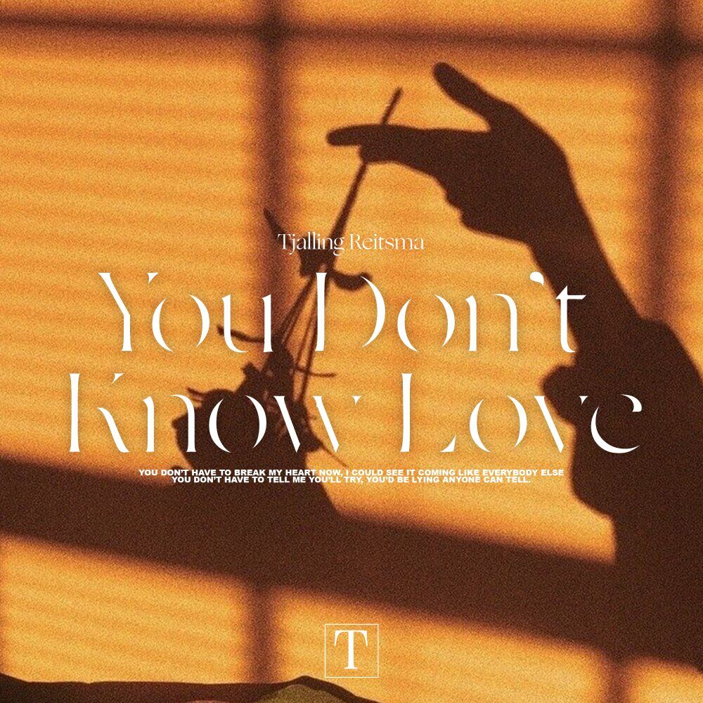 Picture of You Don't Know Love