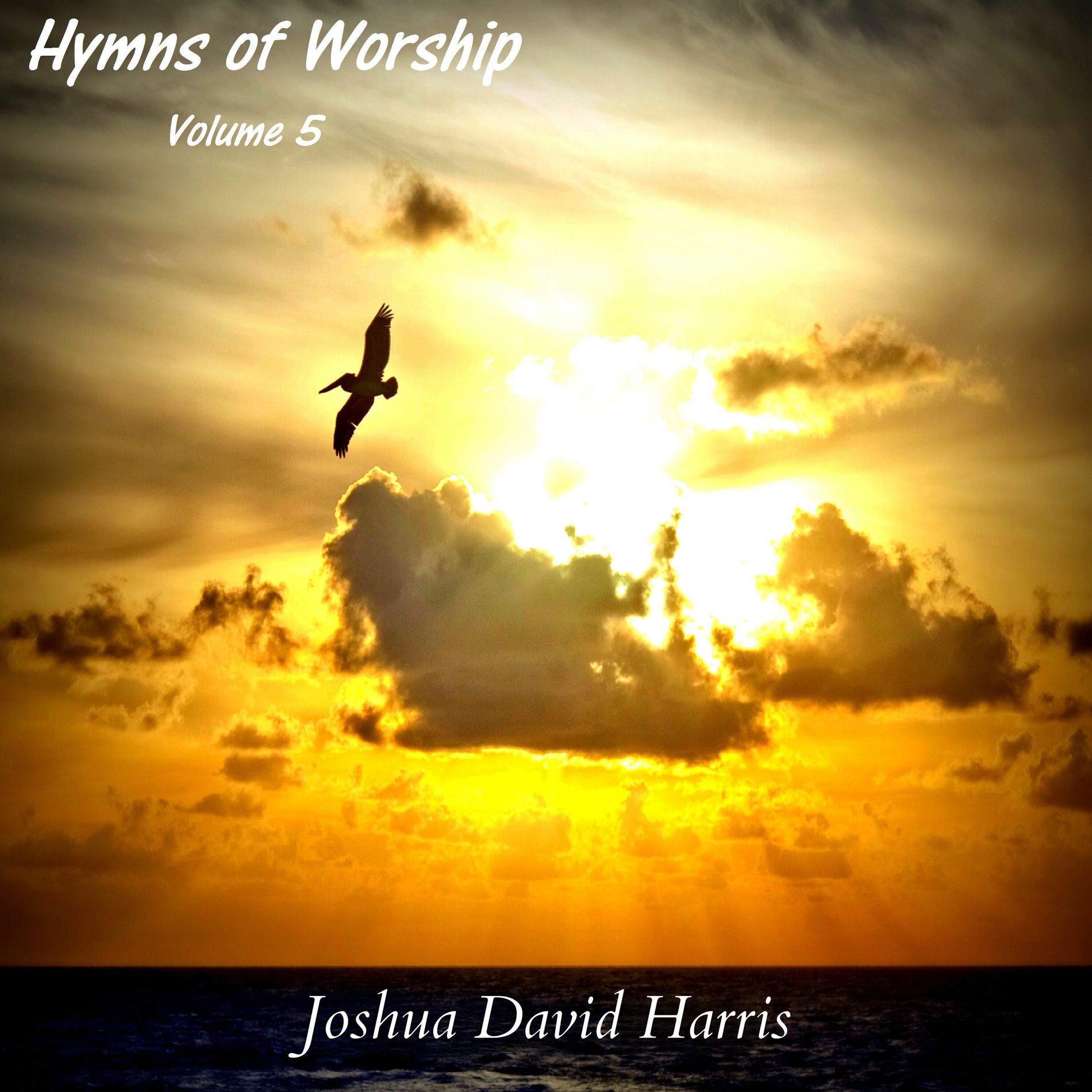 Album cover of Are You Washed in the Blood of the Lamb?