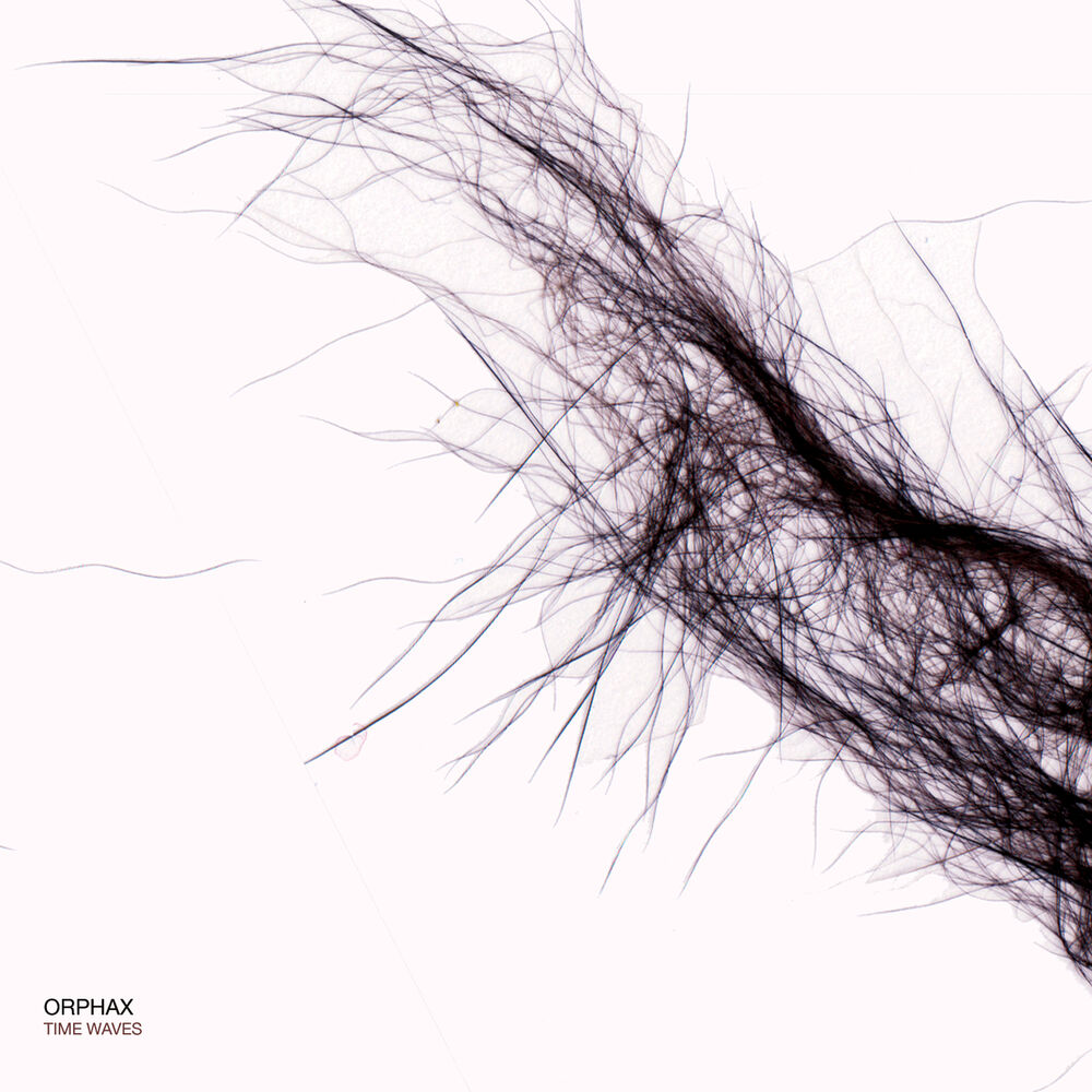 Picture of Time Waves