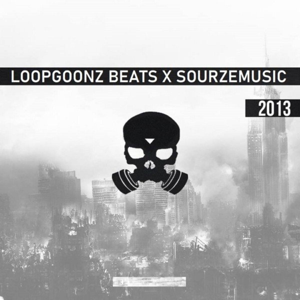 Album cover of 2013