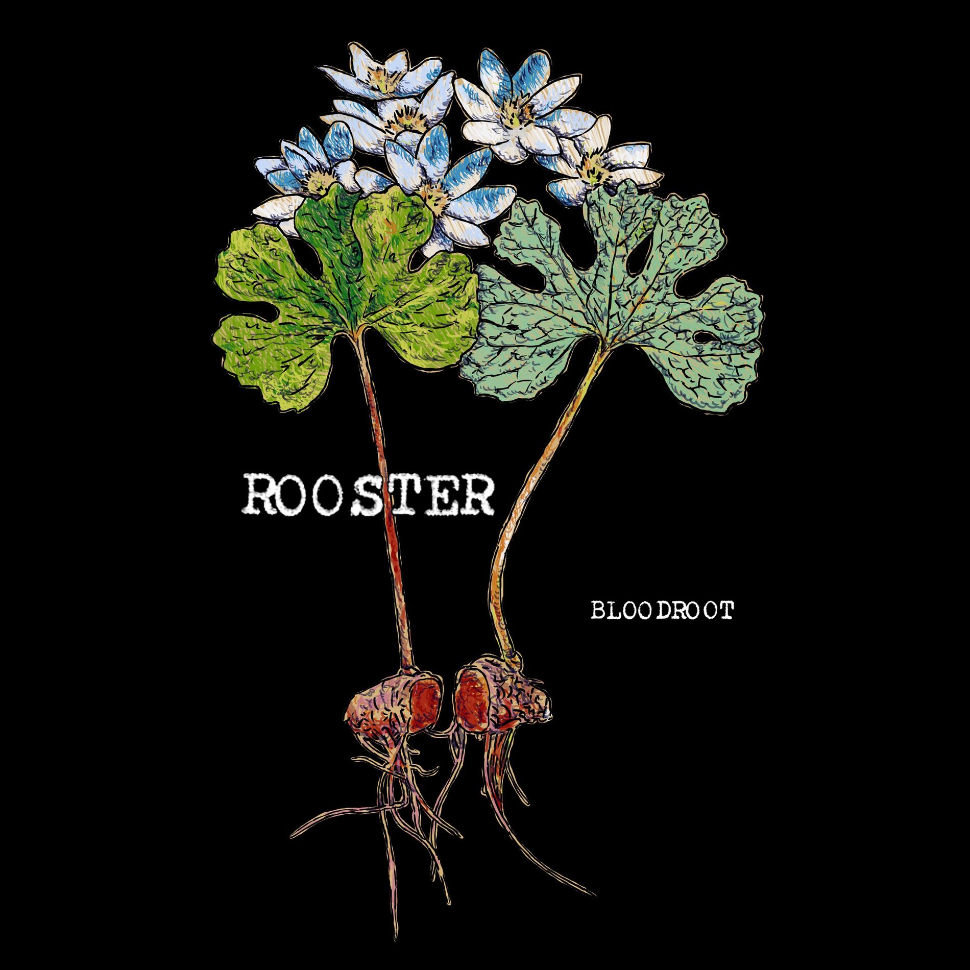 Album cover of Bloodroot