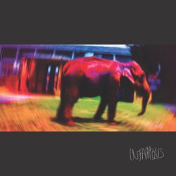 Cover of Infamous