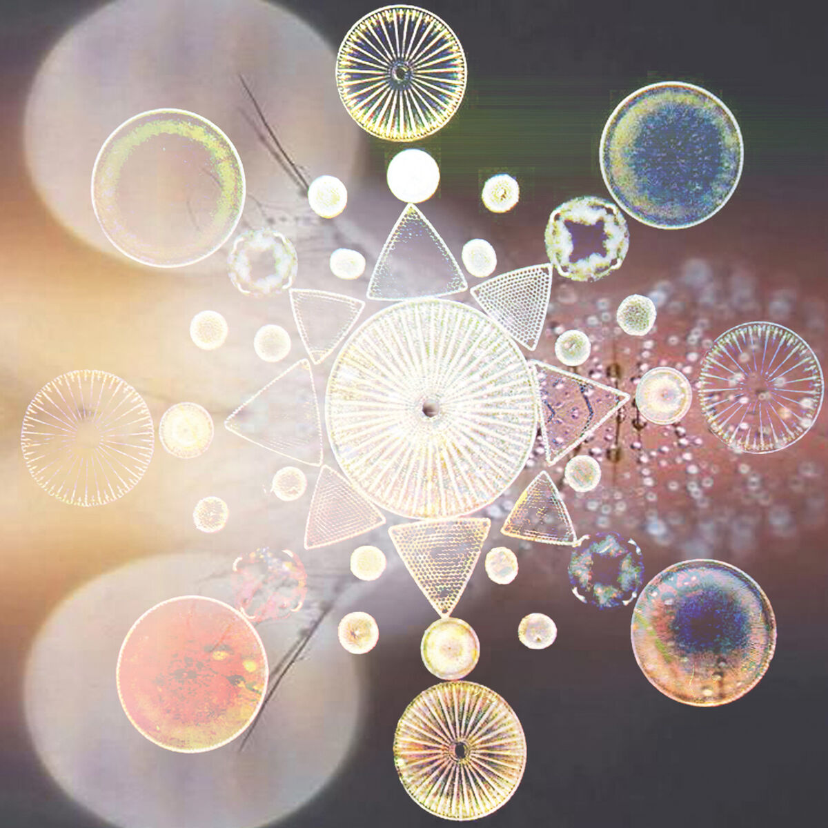 Album cover of Floracopia