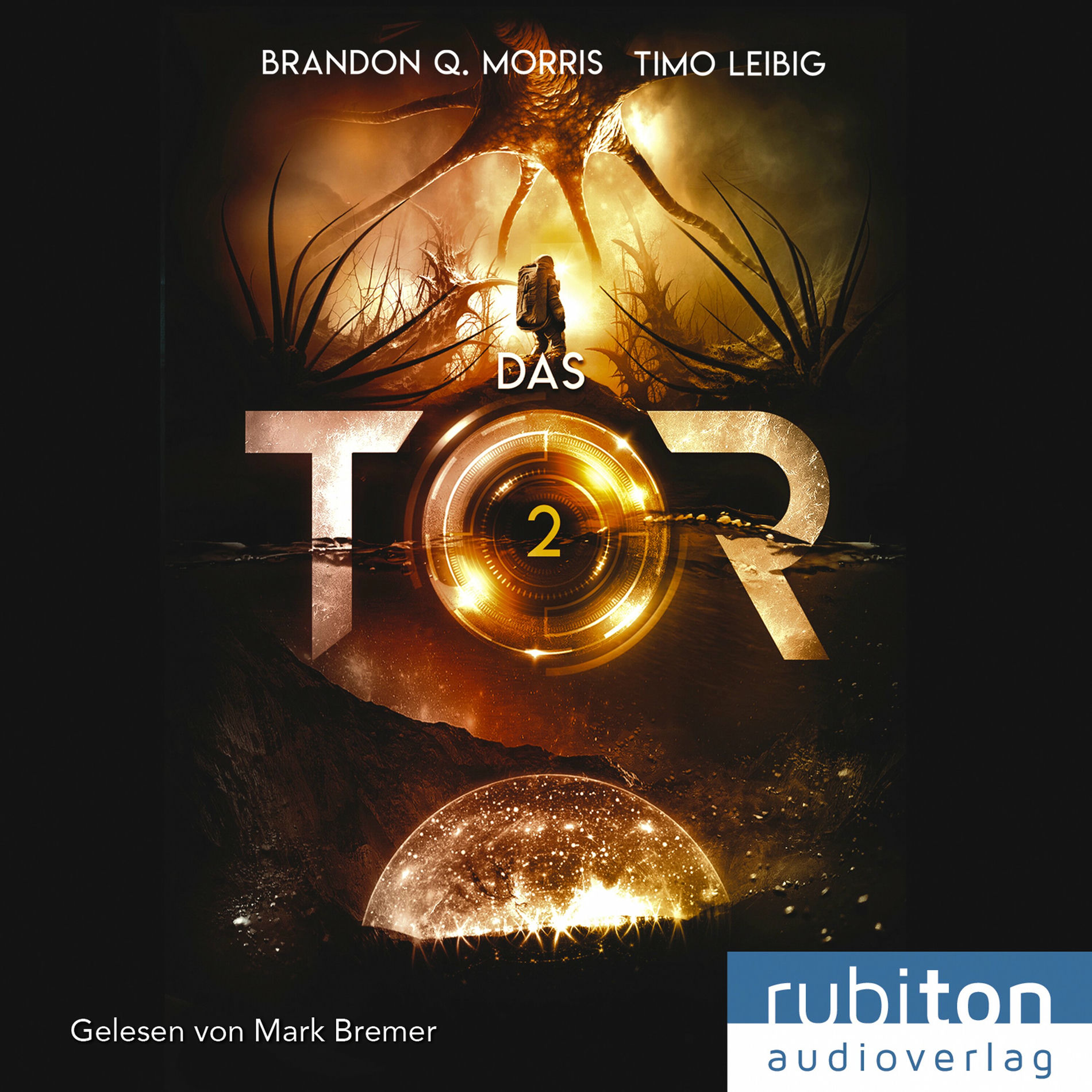 Album cover of Kapitel 01 - Das Tor 2
