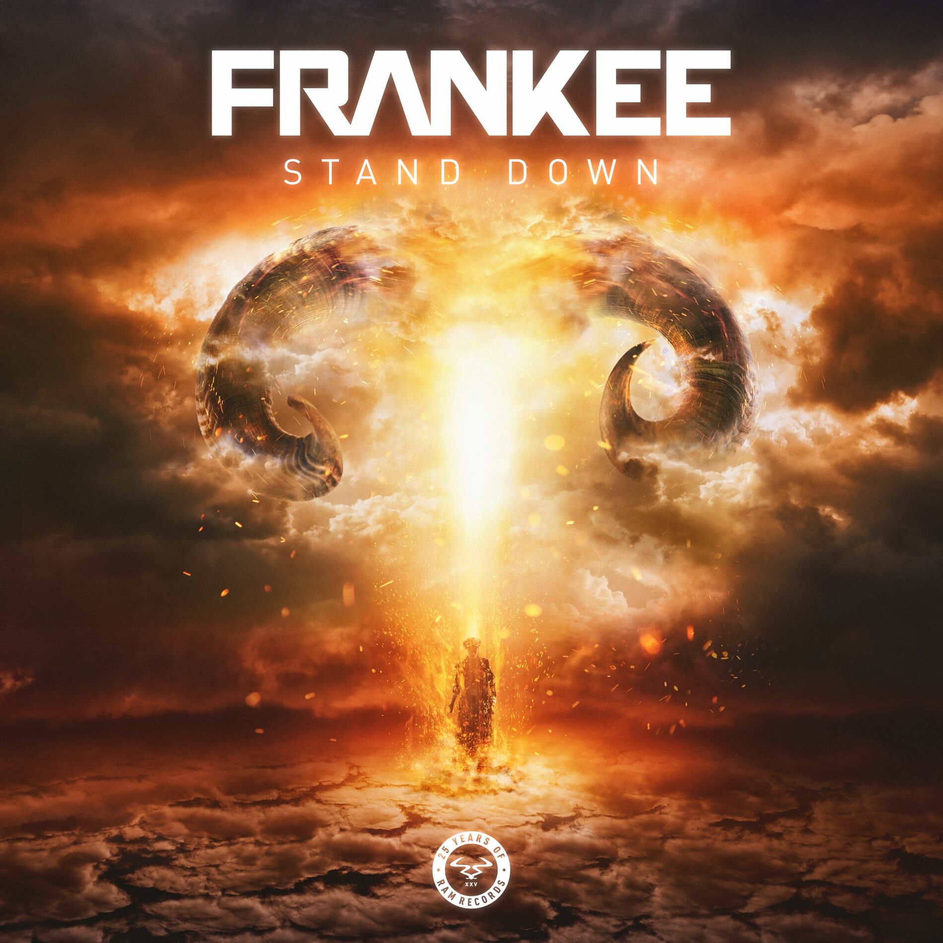Album cover of Stand Down
