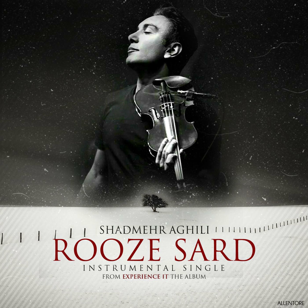 Album cover of Rooze Sard (Instrumental)