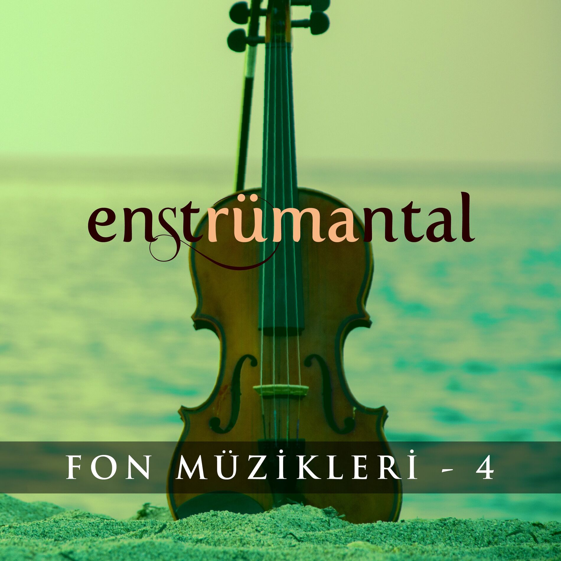 Album cover of Enstrümantal Fon Müzikleri - 4