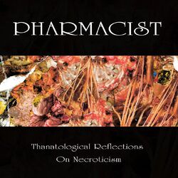 Cover of Thanatological Reflections on Necroticism