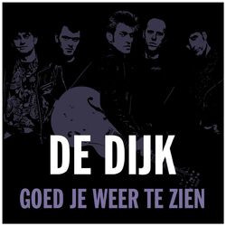 Cover of Goed Je Weer Te Zien