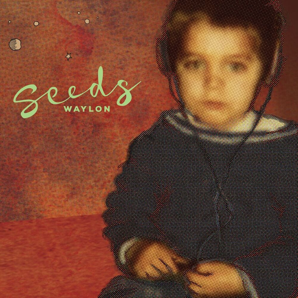 Picture of Seeds