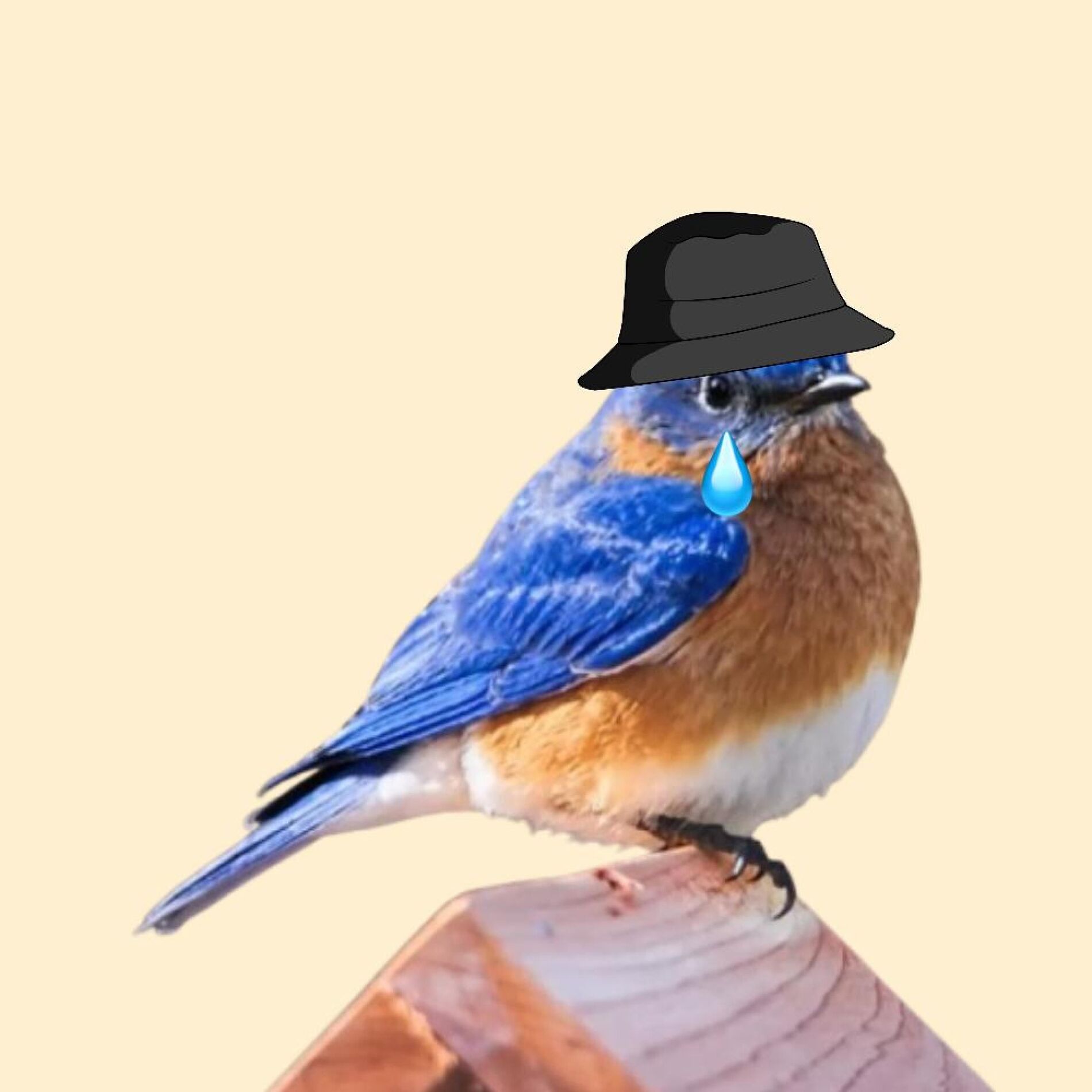 Album cover of Oh, I Wonder (feat. Promoting Sounds)