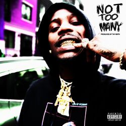 Cover of Not Too Many