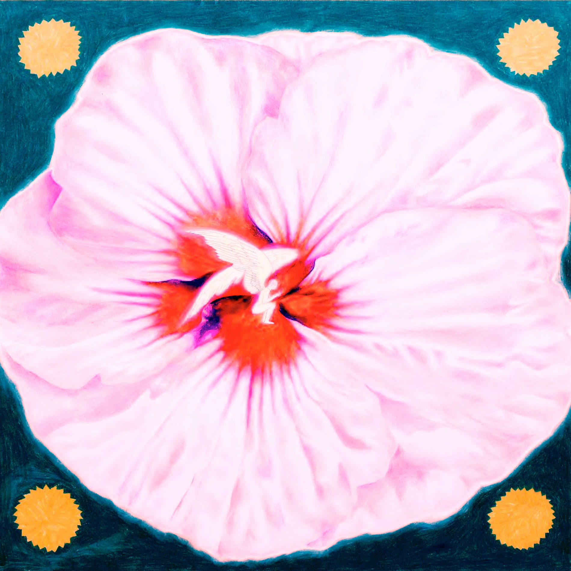 Album cover of chrysalis