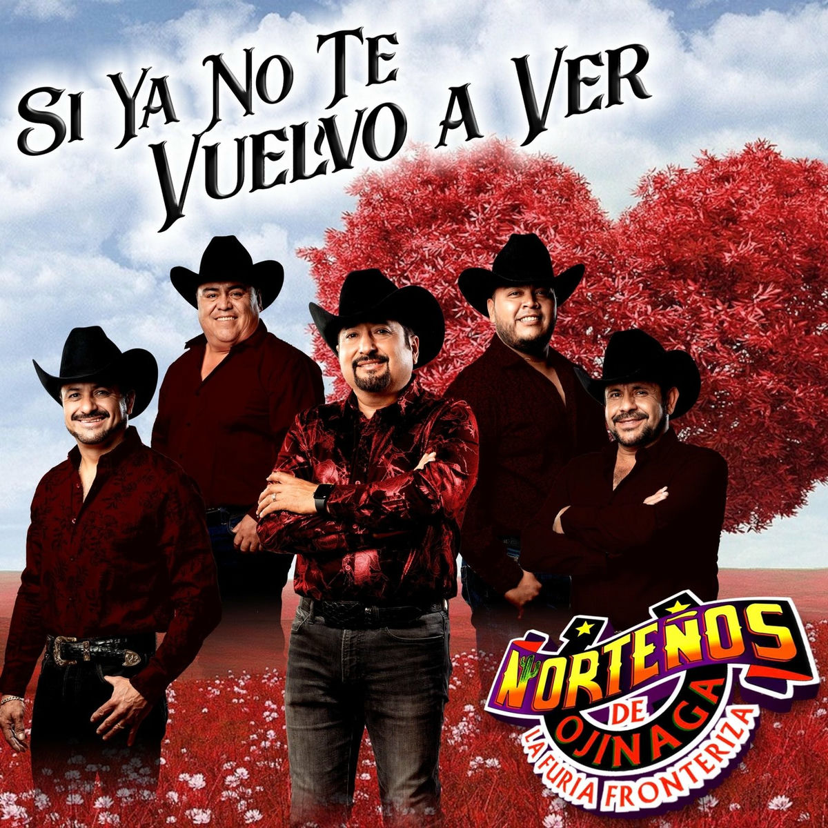 Album cover of Si Ya No Te Vuelvo a Ver