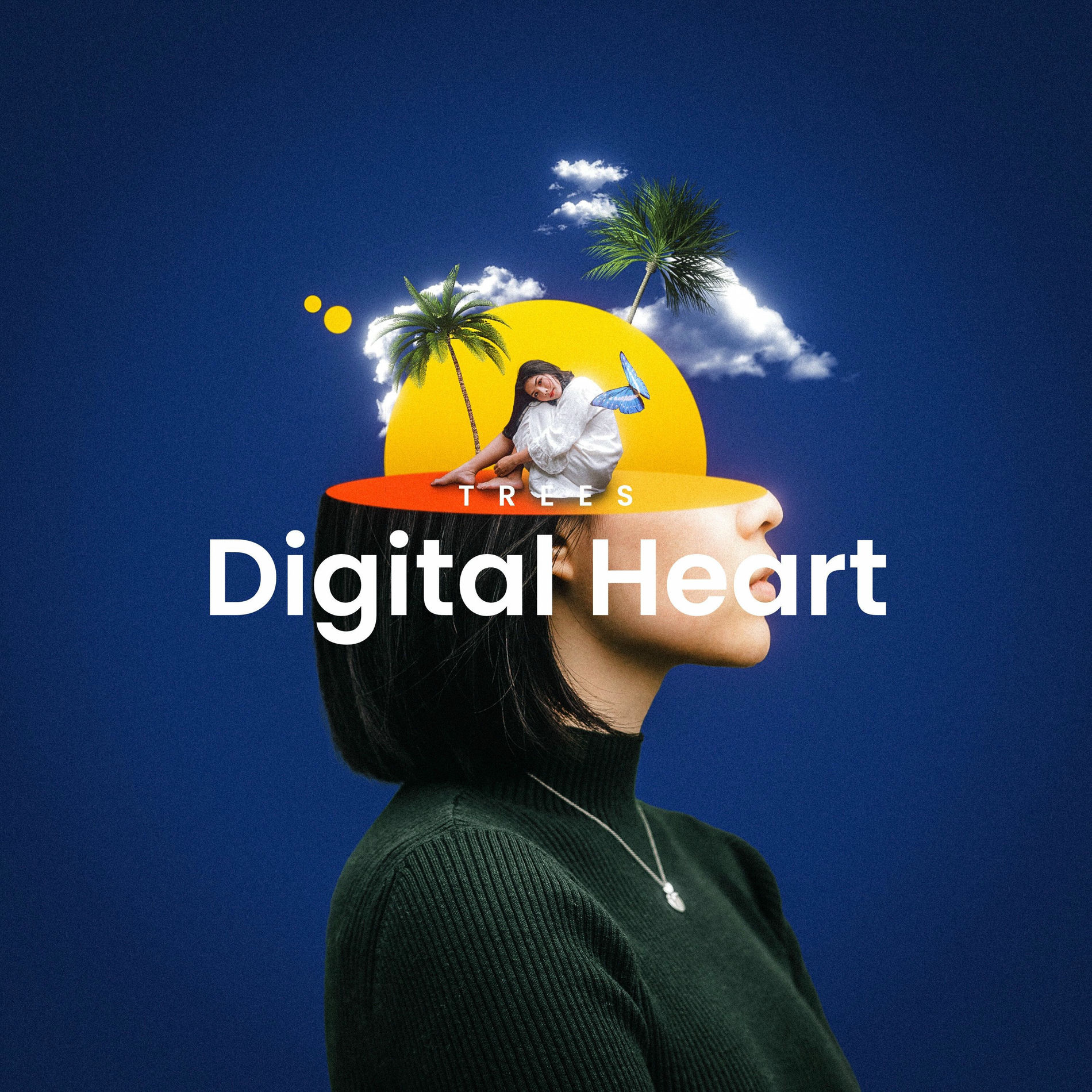 Album cover of Digital Heart