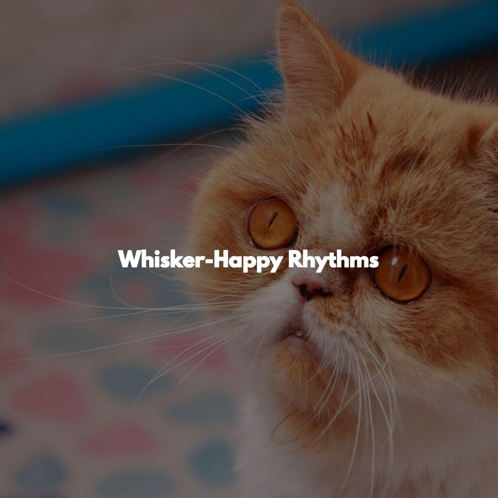 Picture of Whisker-Happy Rhythms
