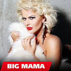 Cover of Big Mama ft. Big Mama ft. Big Mama - Shokut tim