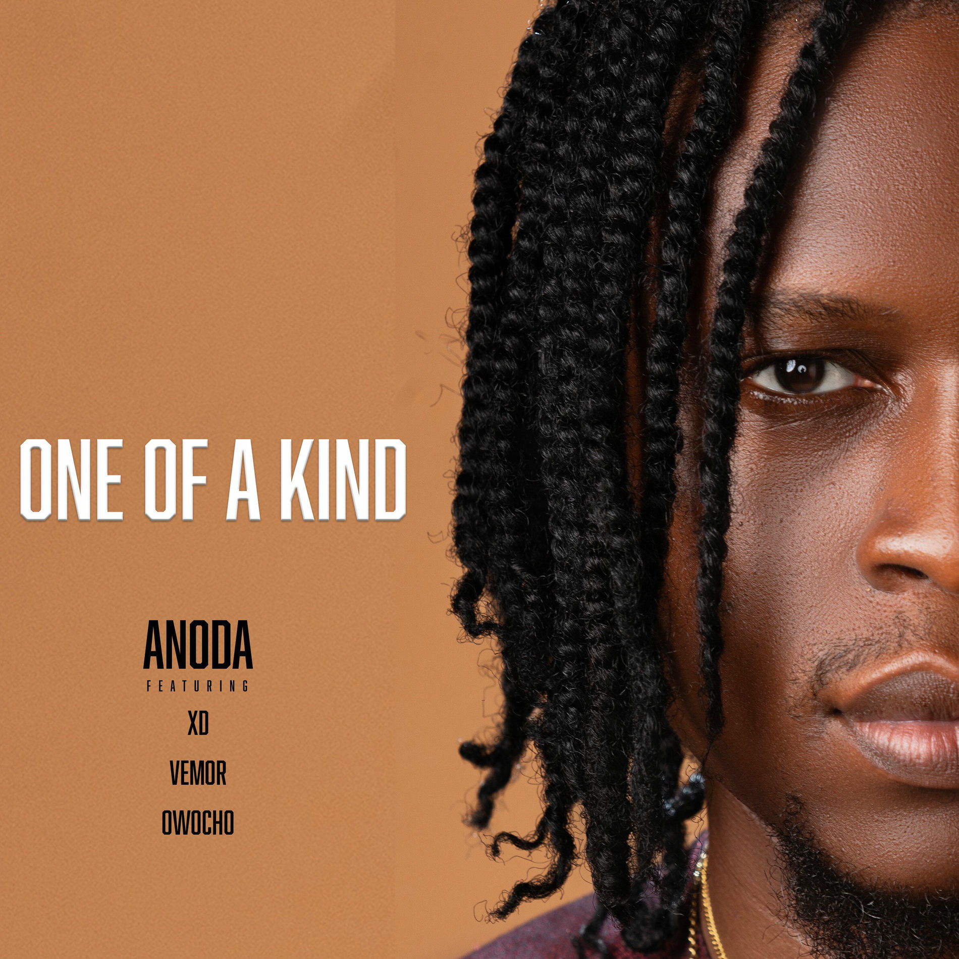 Album cover of One of a Kind