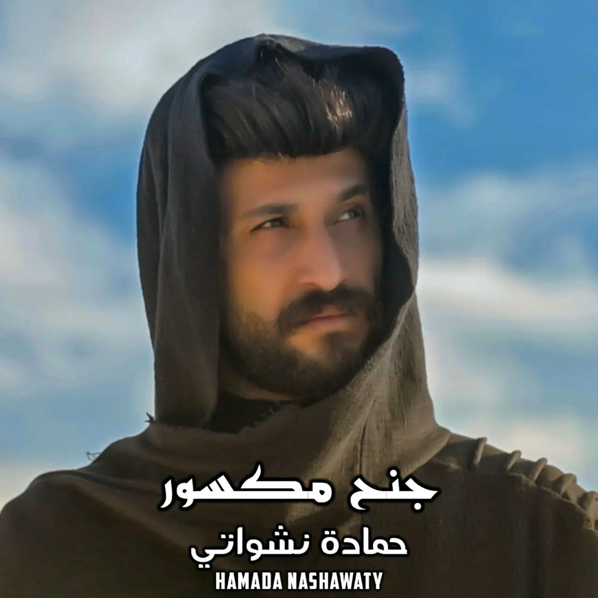 Album cover of جنح مكسور