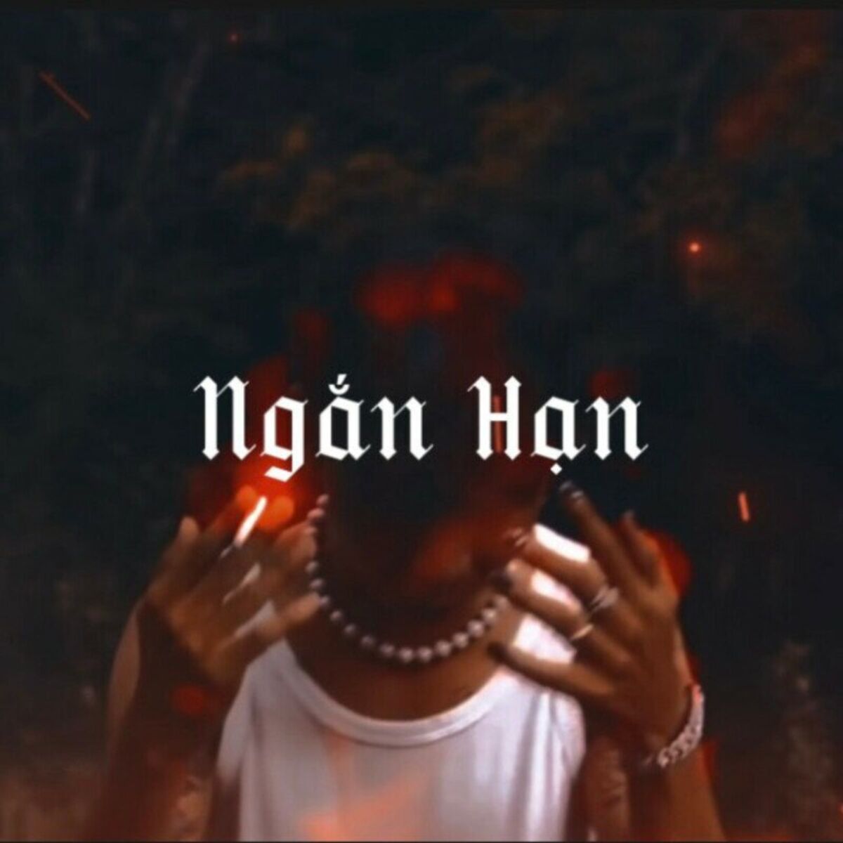 Album cover of Ngắn Hạn