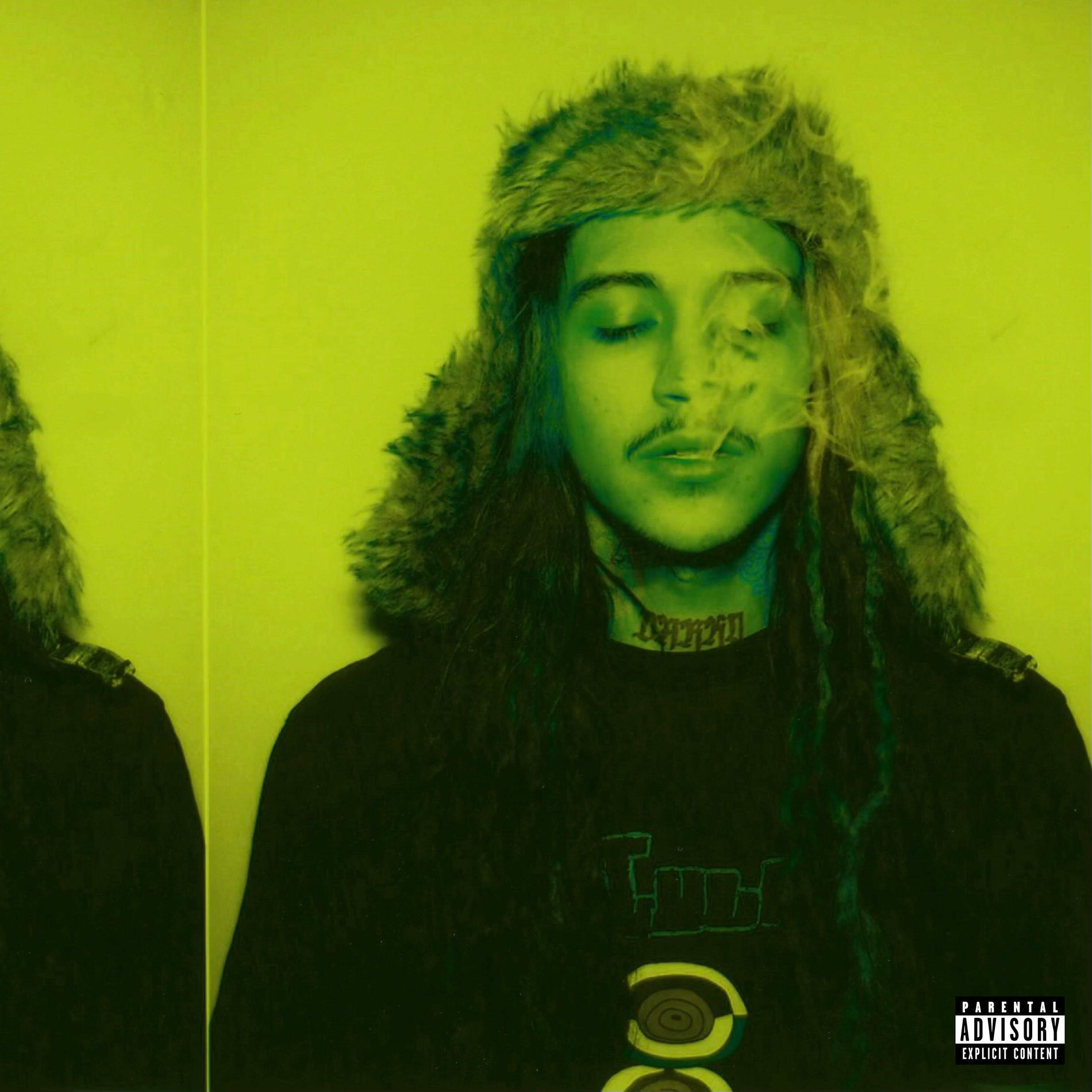 Album cover of Fake