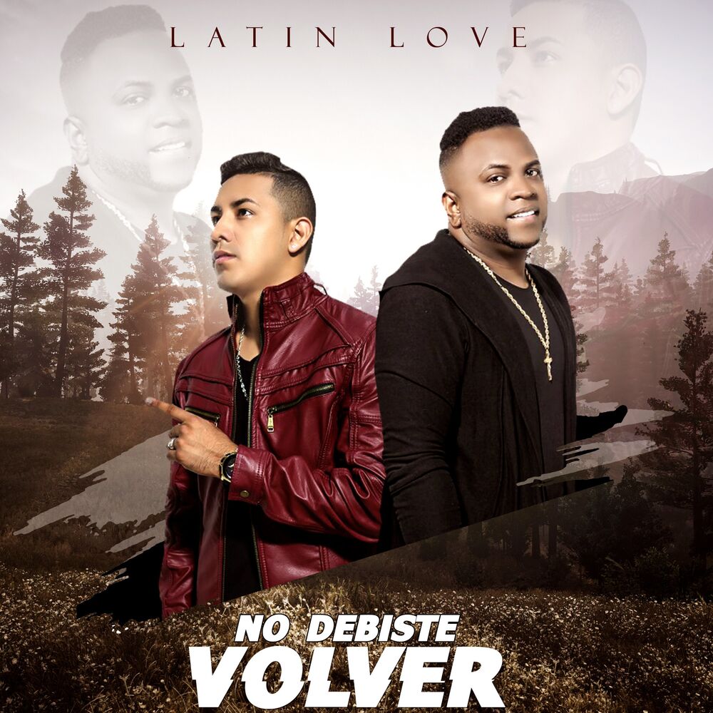Picture of No Debiste Volver