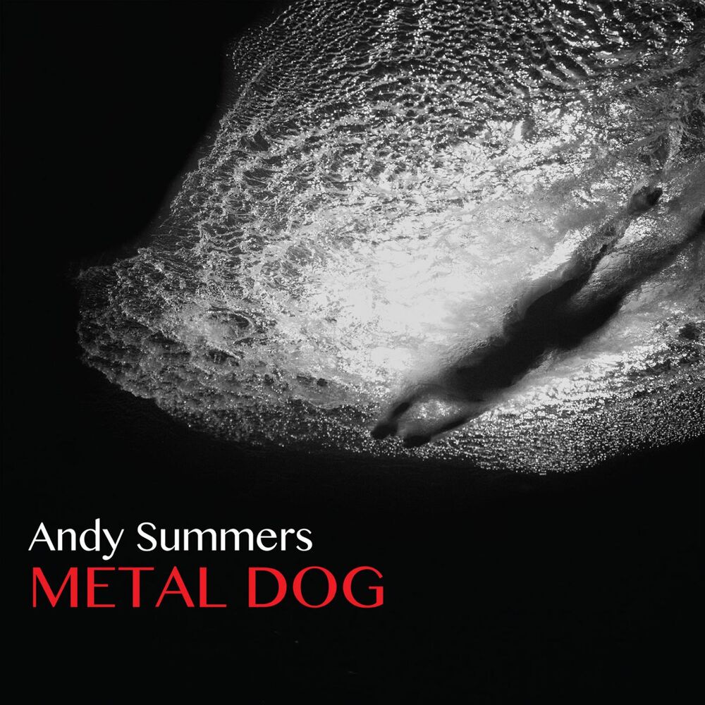 Picture of Metal Dog