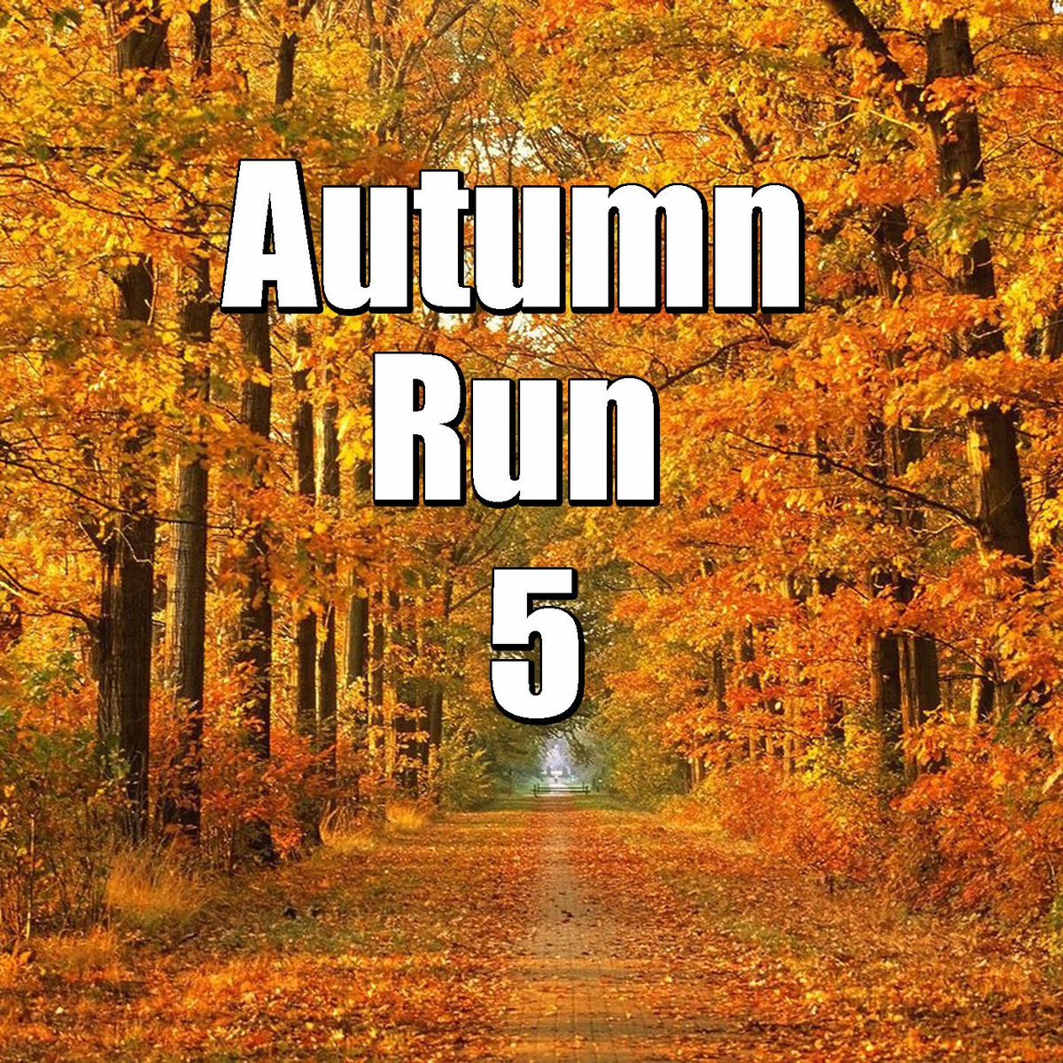 Album cover of Autumn Run, Vol.5