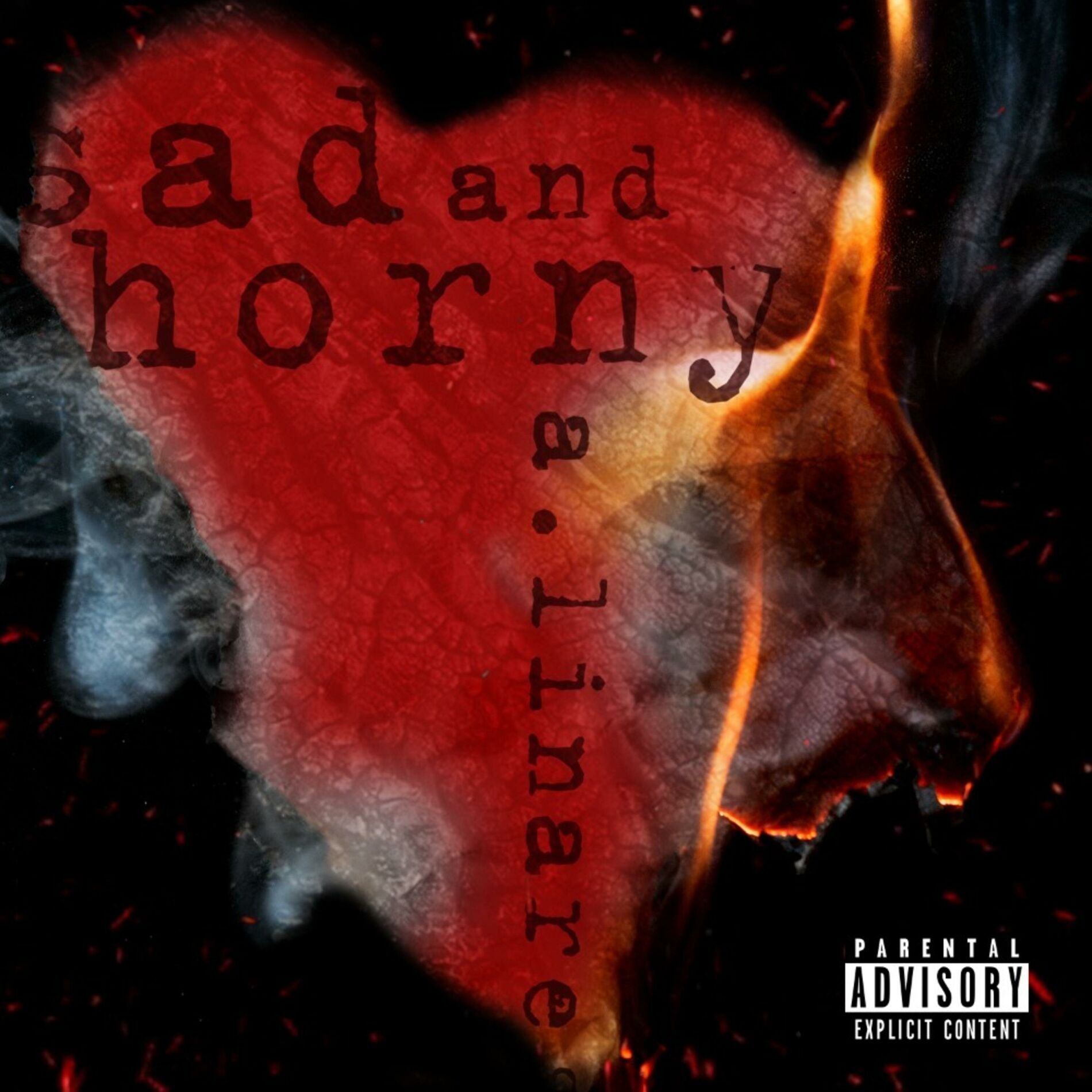 Album cover of Sad N' Horny
