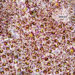 Cover of The Click Off EP