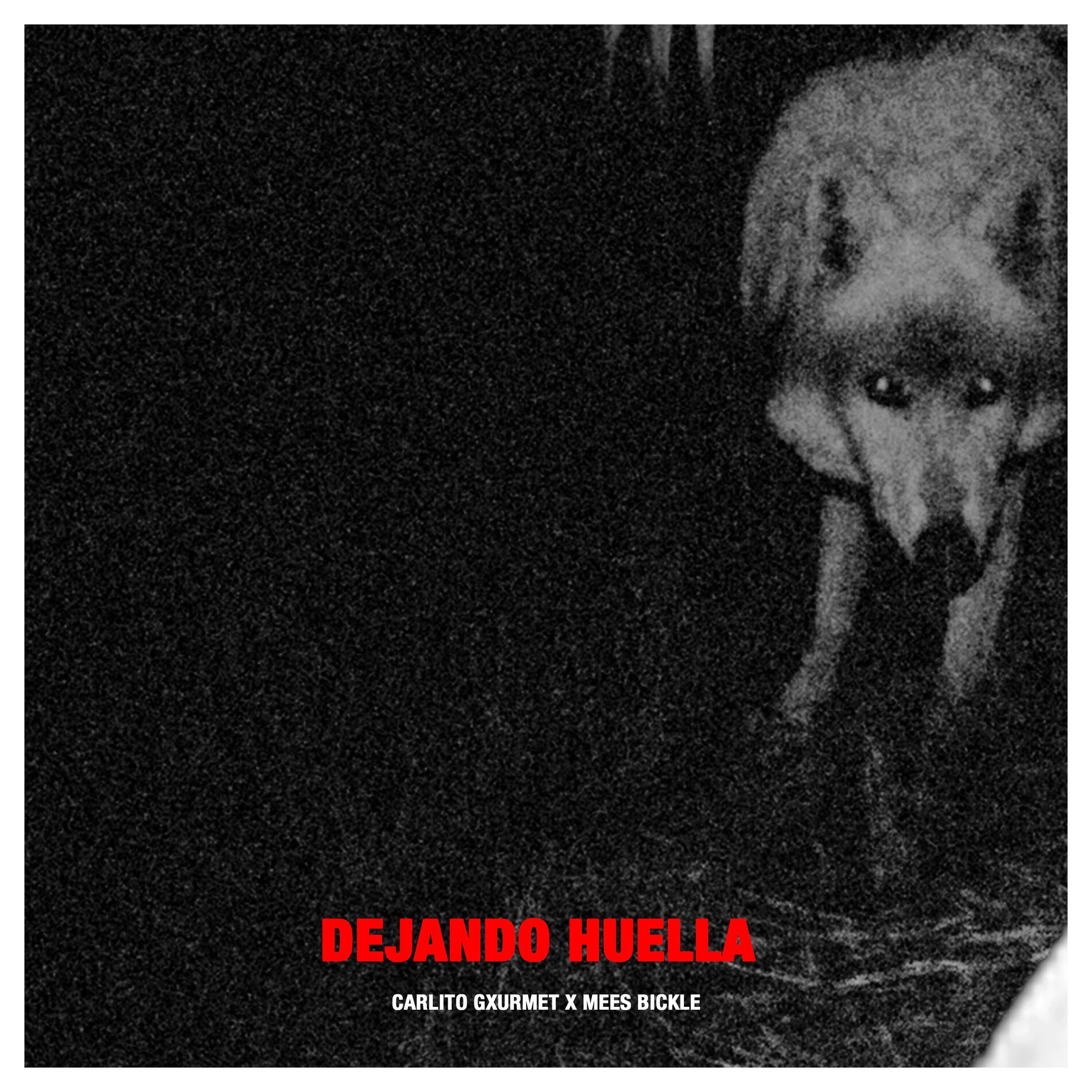 Album cover of DEJANDO HUELLA