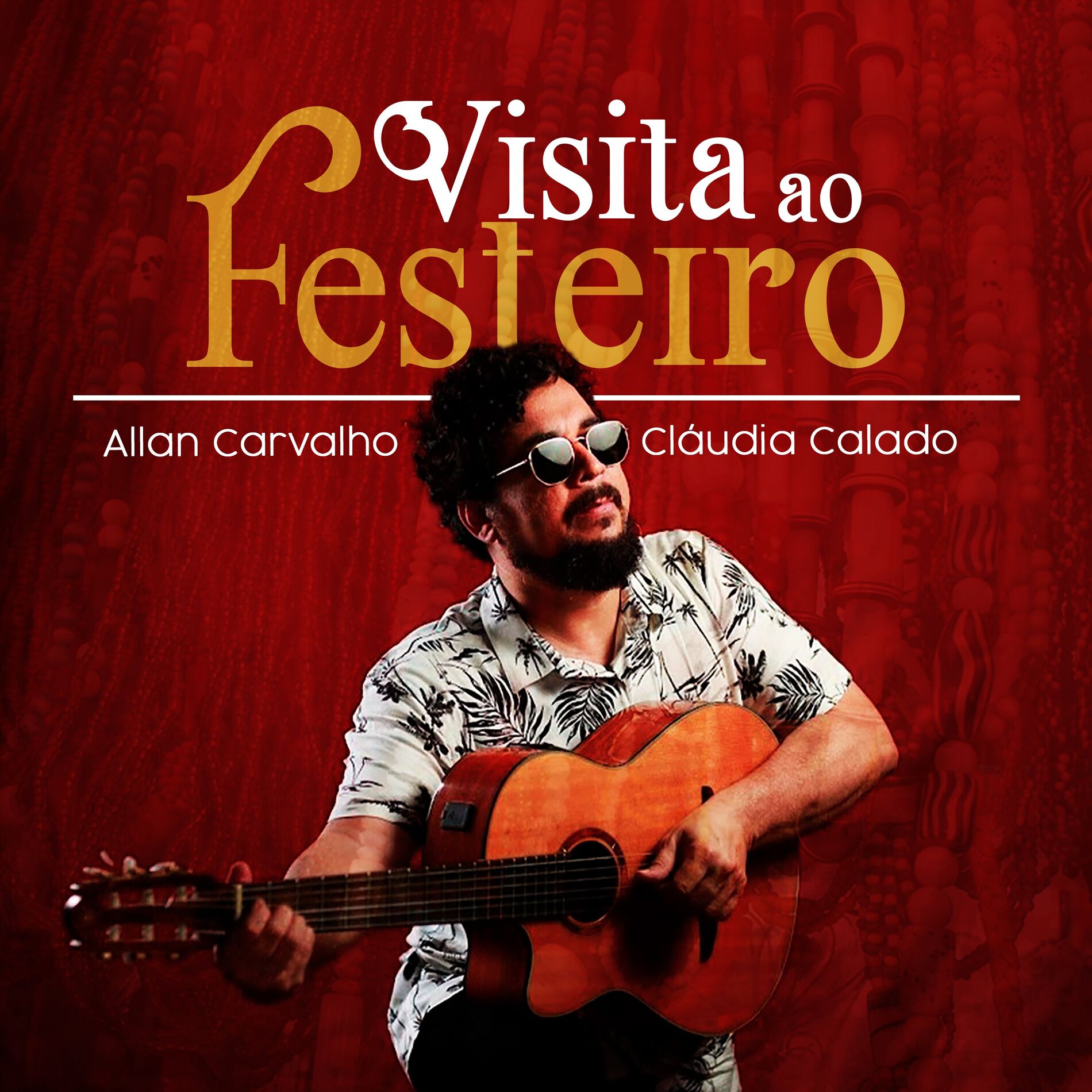 Album cover of Visita ao Festeiro
