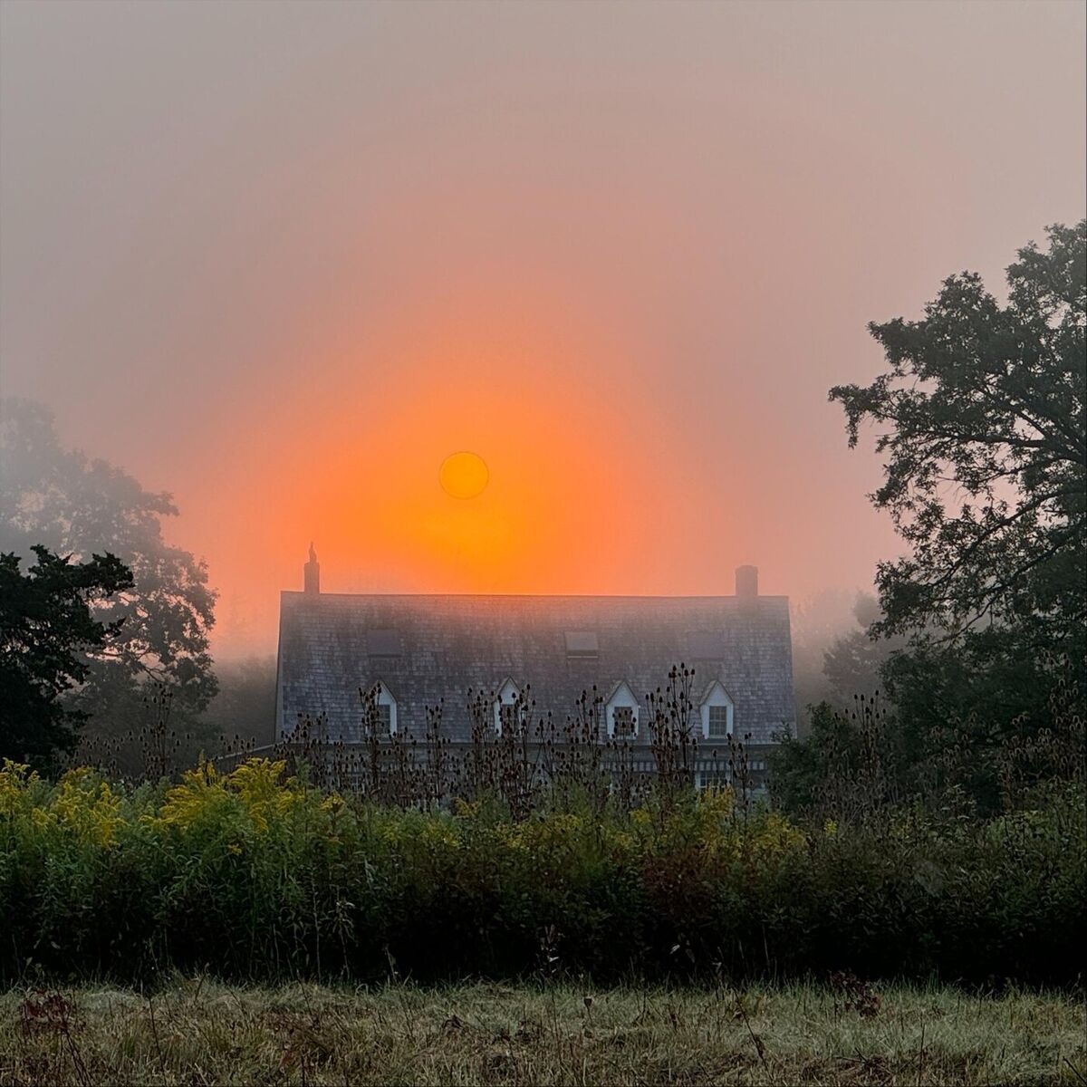 Album cover of The 9:14 to Window Rock