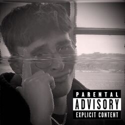 Cover of Brake