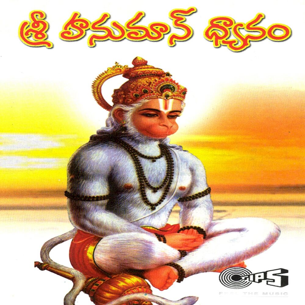 Picture of Sri Hanuman Dhyanam