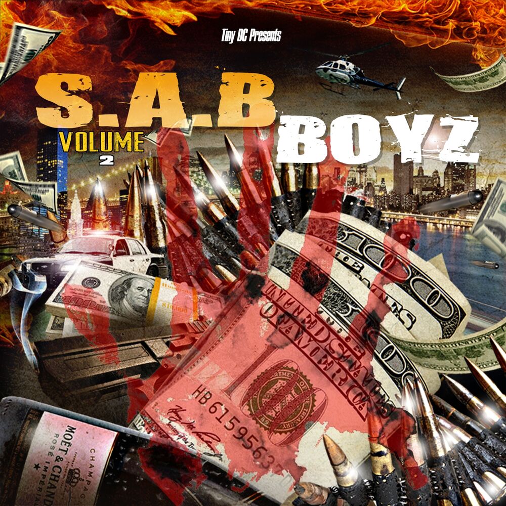 Picture of SAB Boyz Vol. 2