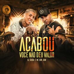 Cover of Acabou Você Não Deu Valor