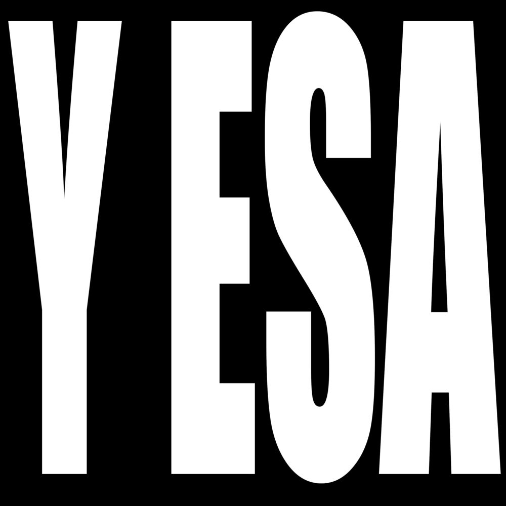 Picture of Y ESA