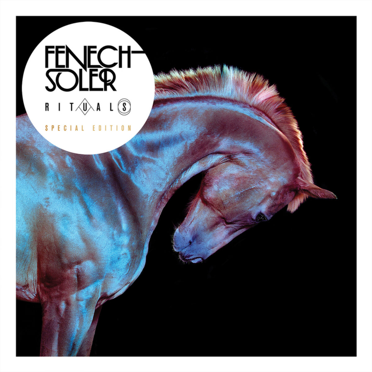 Album cover of Youth