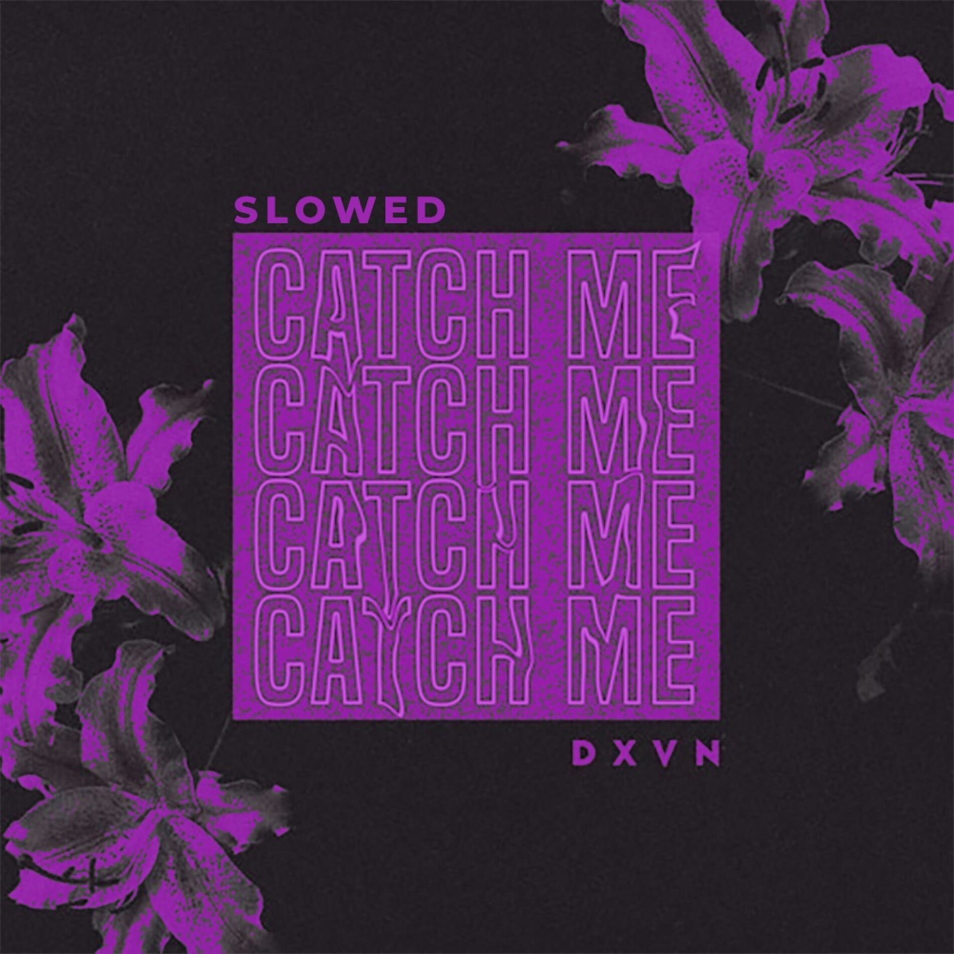 Album cover of Catch Me (Slowed + Reverb) (Slowed)