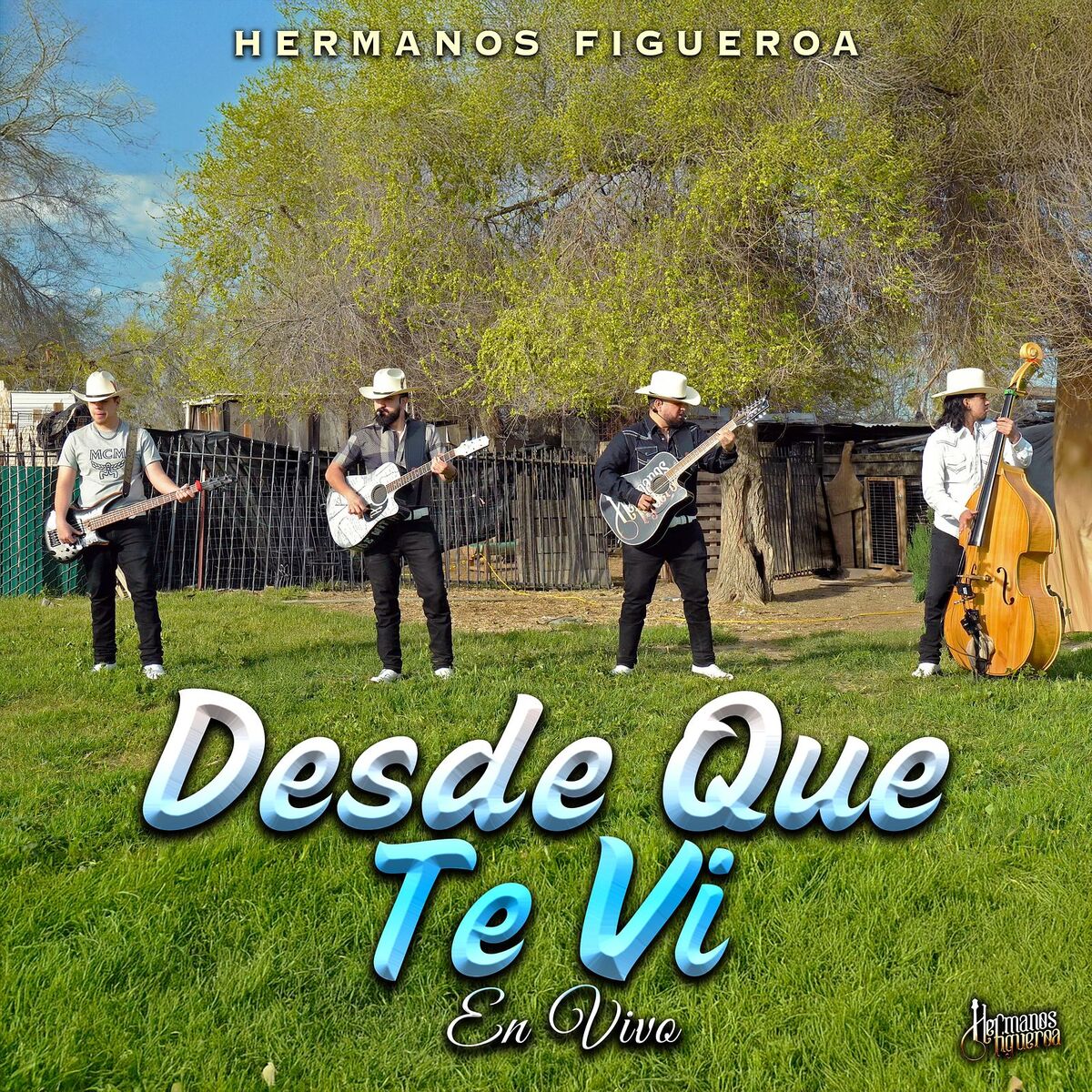 Album cover of Desde Que Te Vi (En Vivo)