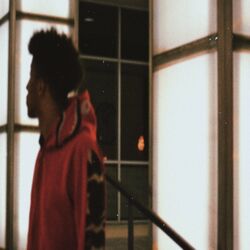 Cover of A L I V E