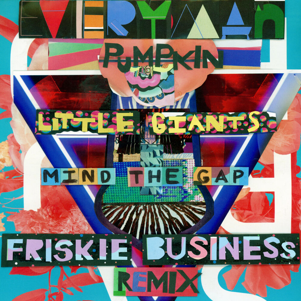 Picture of Mind The Gap (Friskie Business Remix)