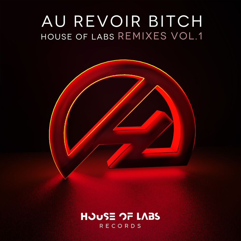 Picture of Au Revoir Bitch (Remixes Vol. 1)