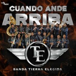 Cover of Cuando ande arriba