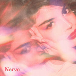 Cover of Nerve