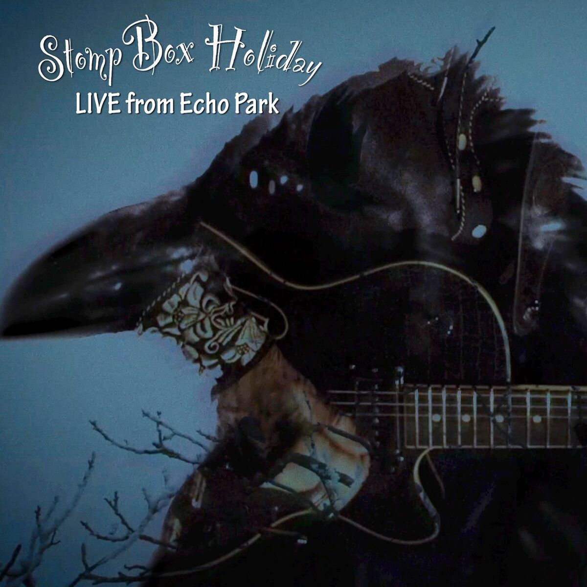 Album cover of Live from Echo Park