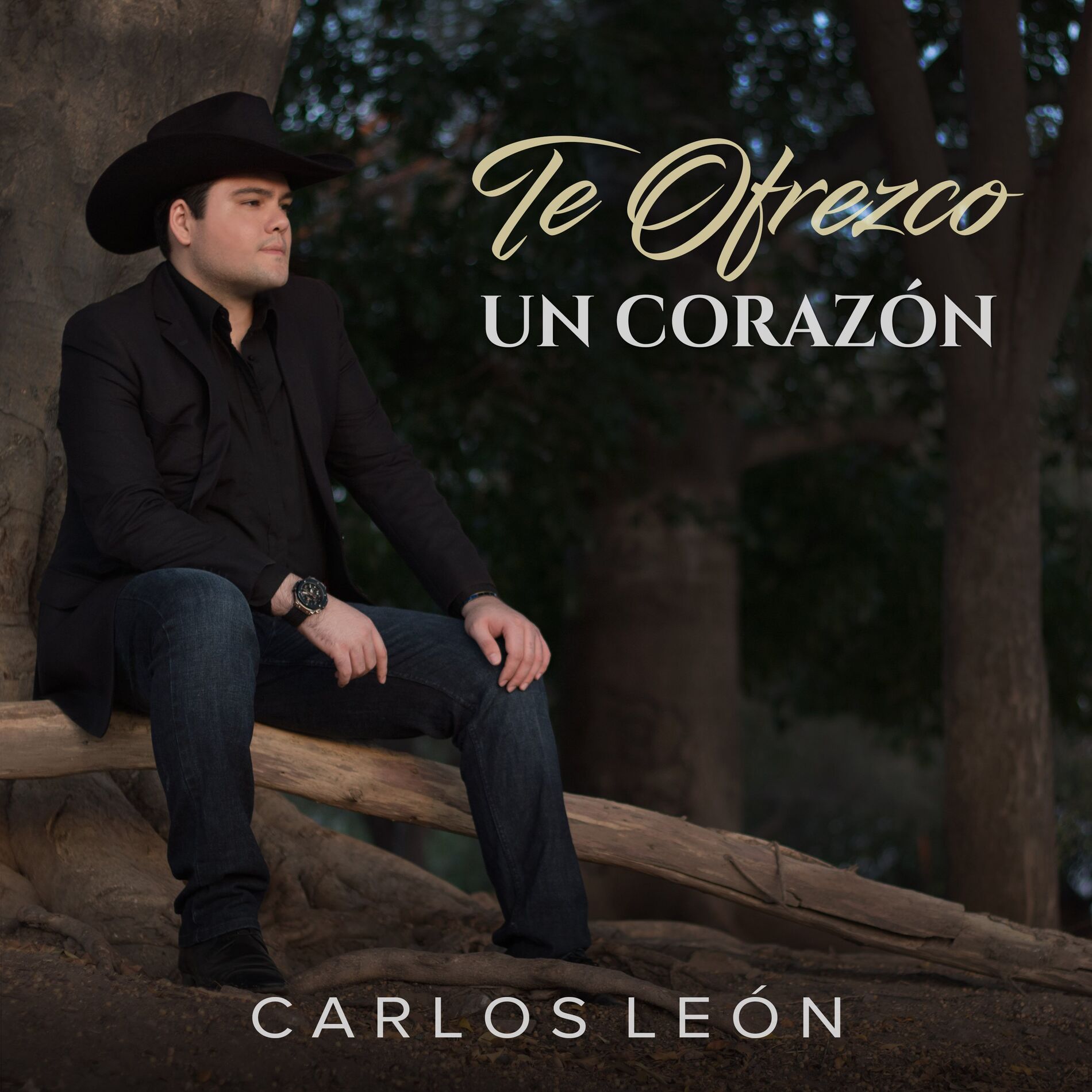 Album picture of Te Ofrezco un Corazón