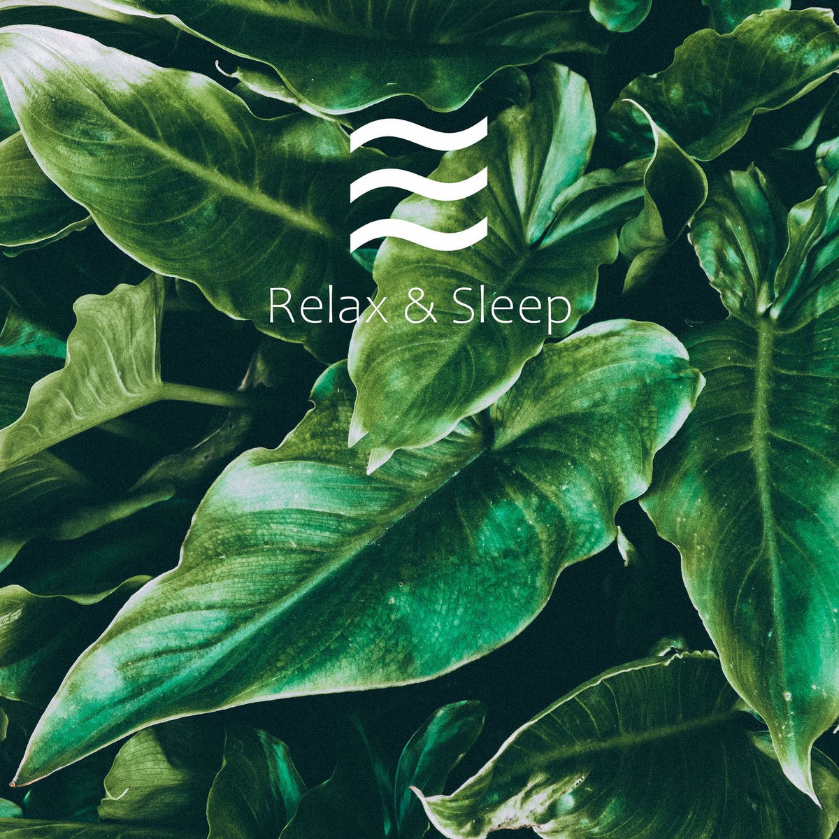 Album cover of Take a Rest Sleepy Noise